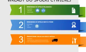Wkłady do spółki cywilnej: własności (nieruchomości, samochody), innych praw (akcje, obligacje) lub świadczenie usług (transport, produkcja mebli).