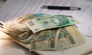 Stos stu-złotowych banknotów leży na dokumentach. W tle widać długopis. To może być pomoc dla osób z mops znaczny stopień niepełnosprawności.