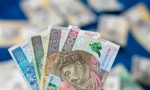 Dłoń trzyma polskie banknoty: 50, 100, 200 i 500 zł. To dowód, że aktywny rodzic w domu potrafi zarządzać finansami.