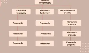 Schemat przedstawia strukturę organizacyjną firmy z dyrektorem zarządzającym na czele, kierownikami funkcyjnymi i szefem kierowników projektu.