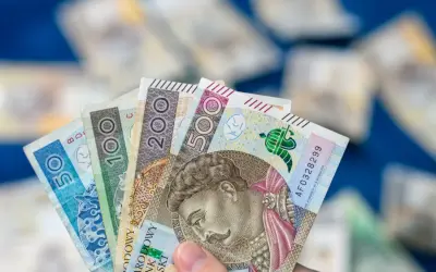 Dłoń trzyma polskie banknoty: 50, 100, 200 i 500 zł. To dowód, że aktywny rodzic w domu potrafi zarządzać finansami.