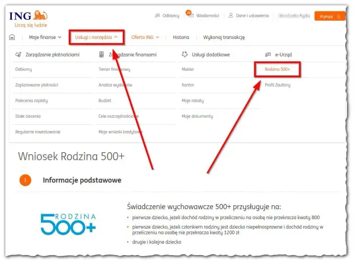 800+ - komu przysługuje i jak złożyć wniosek